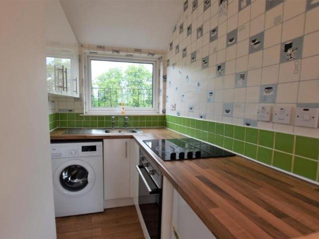 Studio to rent