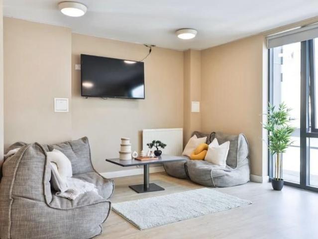 Studio to rent