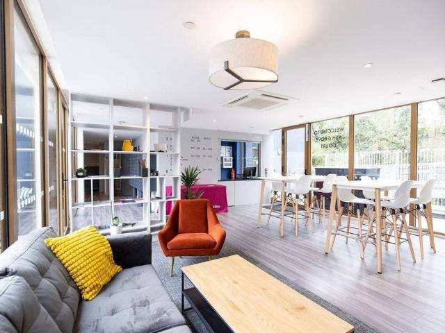 Studio to rent