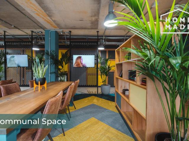 Studio to rent