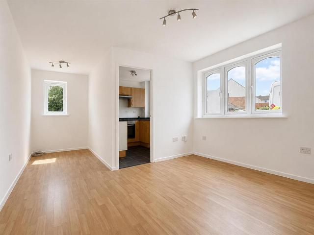 Studio to rent