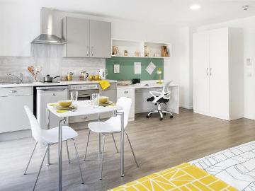 Studio to rent
