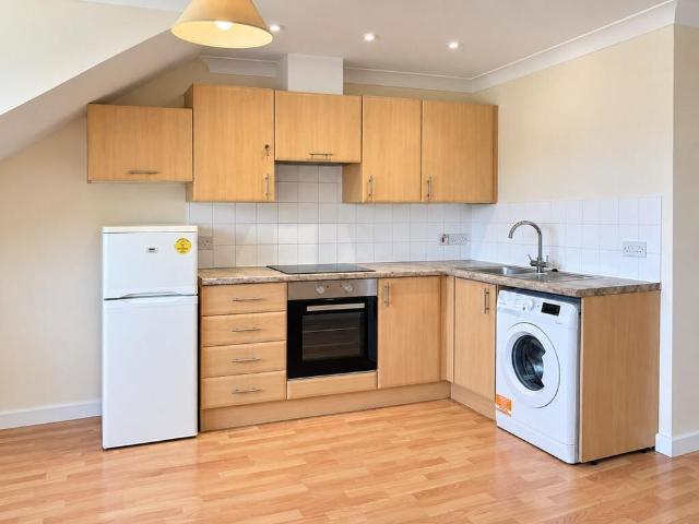Studio to rent