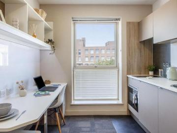 Studio to rent