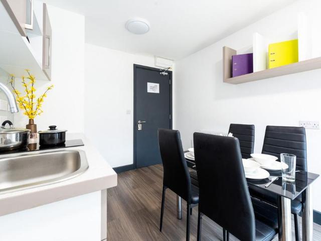 Studio to rent