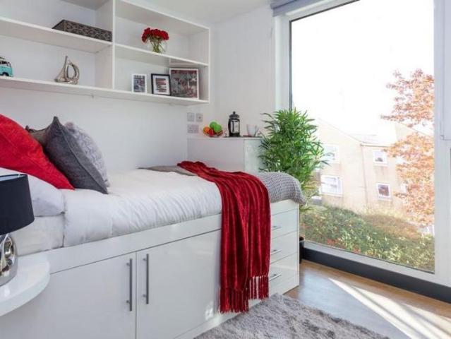 Studio to rent