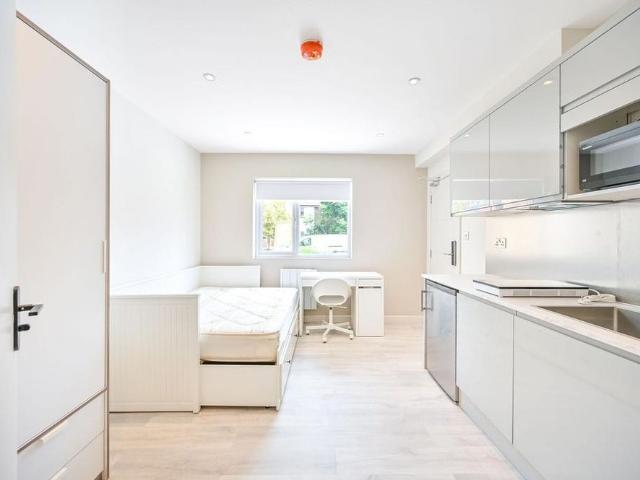 Studio to rent