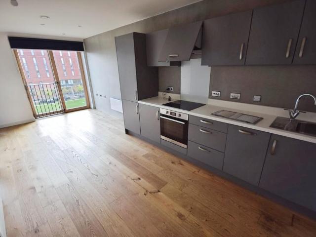 Studio to rent