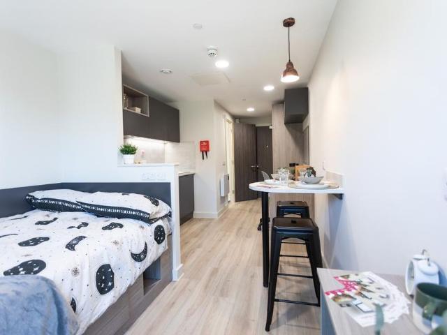 Studio to rent