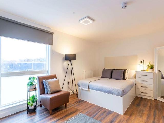 Studio to rent