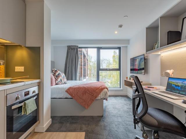 Studio to rent