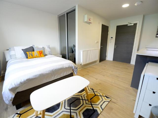 Studio to rent