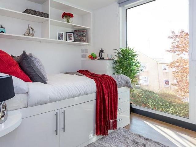 Studio to rent