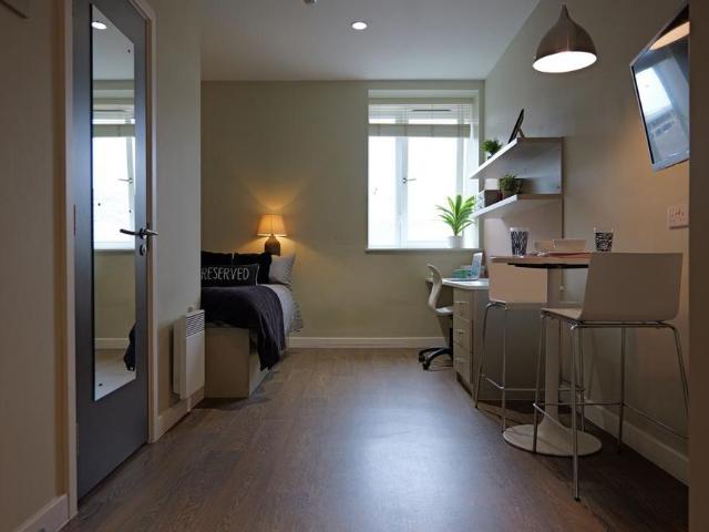 Studio to rent