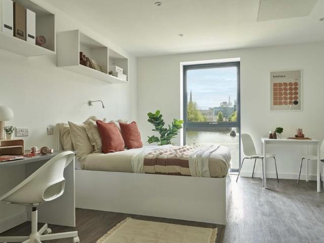 Studio to rent
