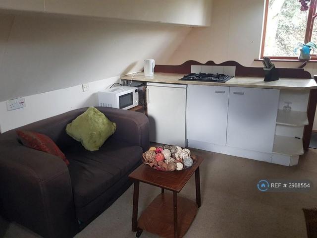 Studio to rent