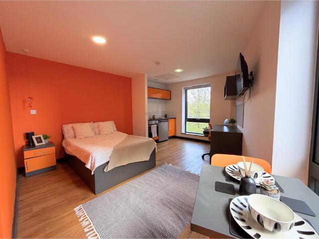 Studio to rent