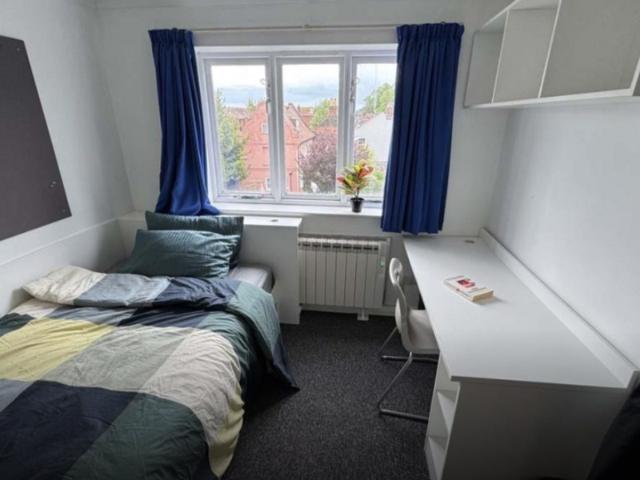 Studio to rent