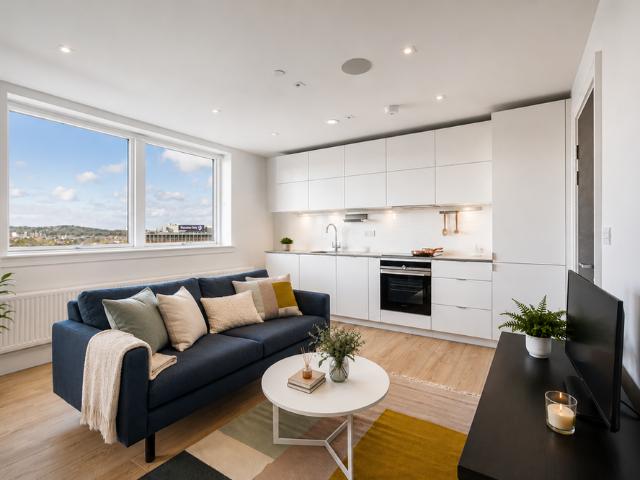 Studio to rent
