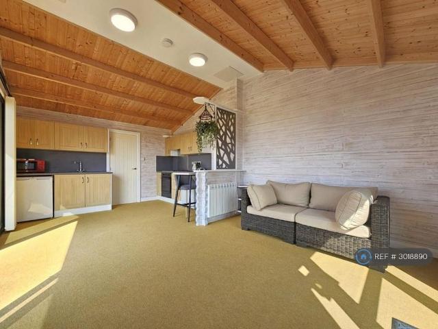 Studio to rent