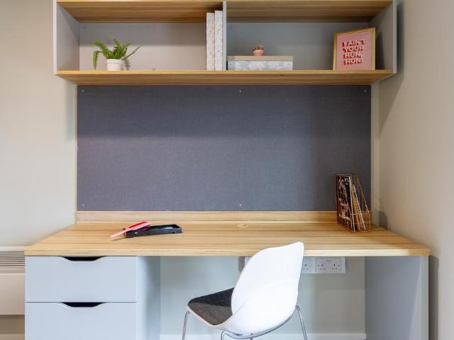 Studio to rent
