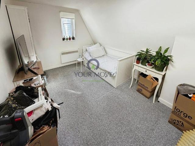 Studio to rent