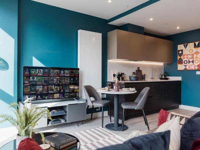Studio to rent