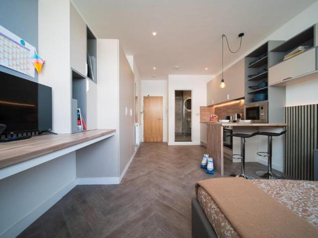 Studio to rent