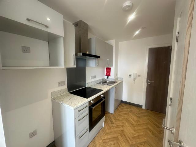 Studio to rent