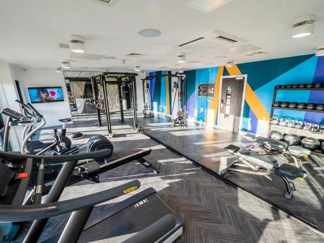 Studio to rent