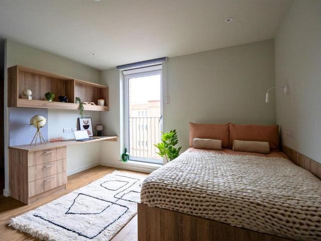 Studio to rent
