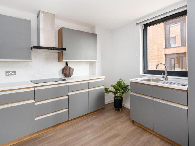 Studio to rent