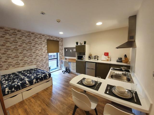 Studio to rent