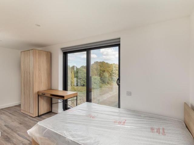Studio to rent