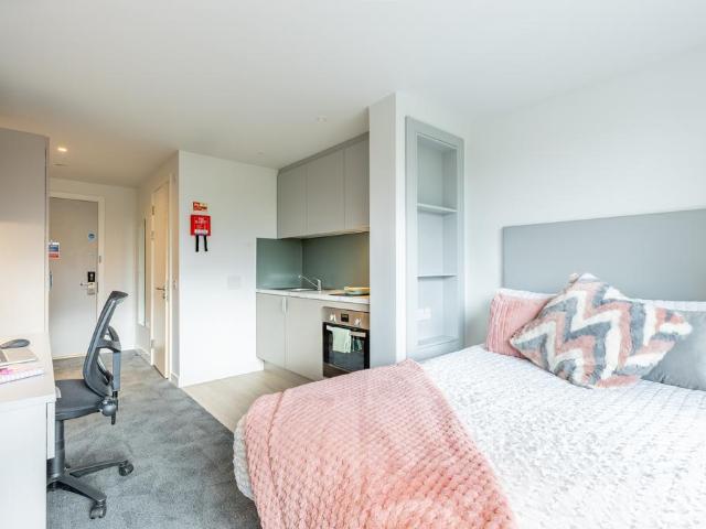 Studio to rent