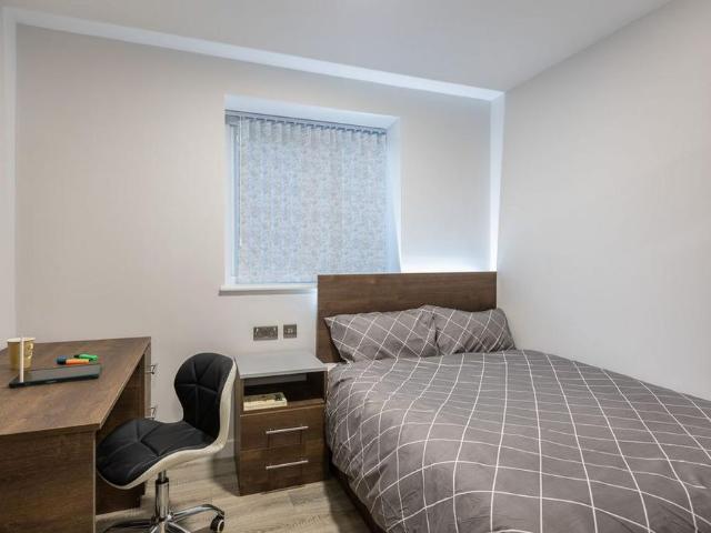 Studio to rent
