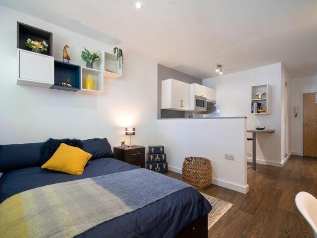 Studio to rent