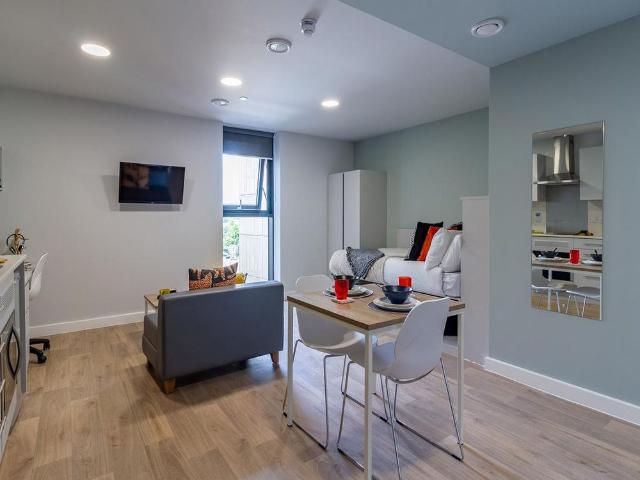 Studio to rent