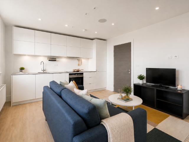 Studio to rent