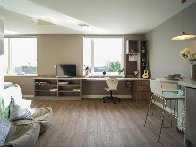 Studio to rent