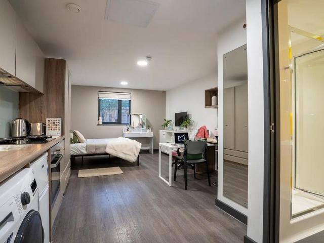 Studio to rent