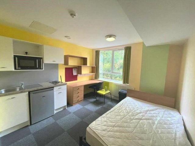 Studio To Rent In College House, Bridge Road Viewings, B8
