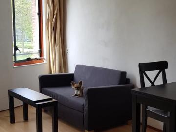 Studio te huur