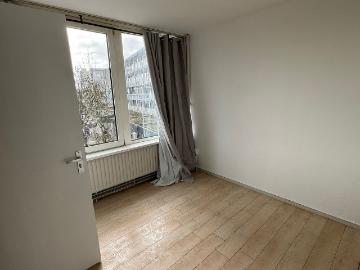 Olland, Meierijstad, Noord-Brabant