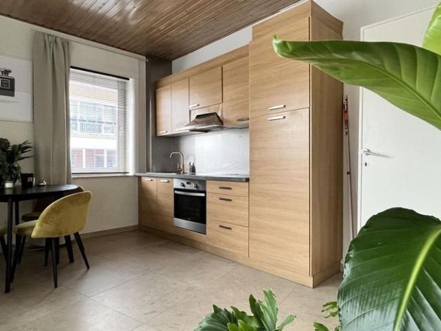 Studio te huur in Kortrijk voor € 800 met 1 slaapkamer