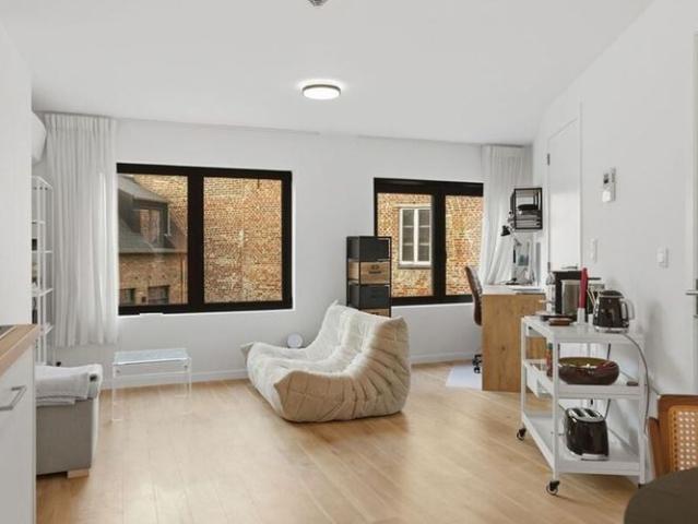 Studio te huur in Leuven voor € 1.195 met 1 slaapkamer