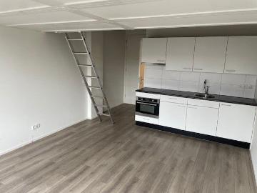 Olland, Meierijstad, Noord-Brabant