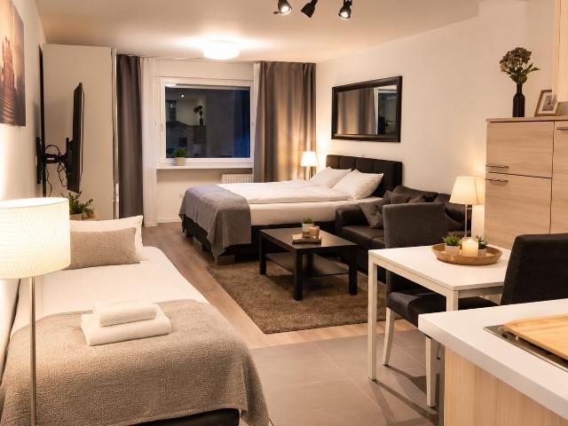 Studio – Uniklinikum – REWE Center – DKFZ, Heidelberg Amsterdam Apartments for Rent