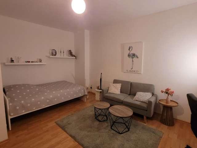 Studio zu vermieten in Berlin