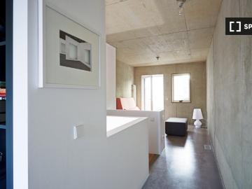 Studio zu vermieten in Köln, Köln